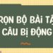 Các bài tập câu bị động giúp bạn thành thạo nhanh chóng