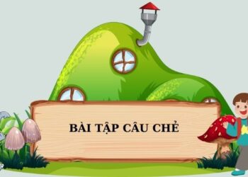 Bài tập câu chẻ trong tiếng Anh: Khám phá cách làm chủ cấu trúc câu chẻ