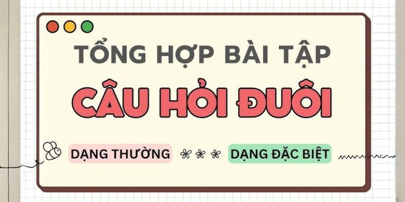 Bài tập câu hỏi đuôi dạng đặc biệt