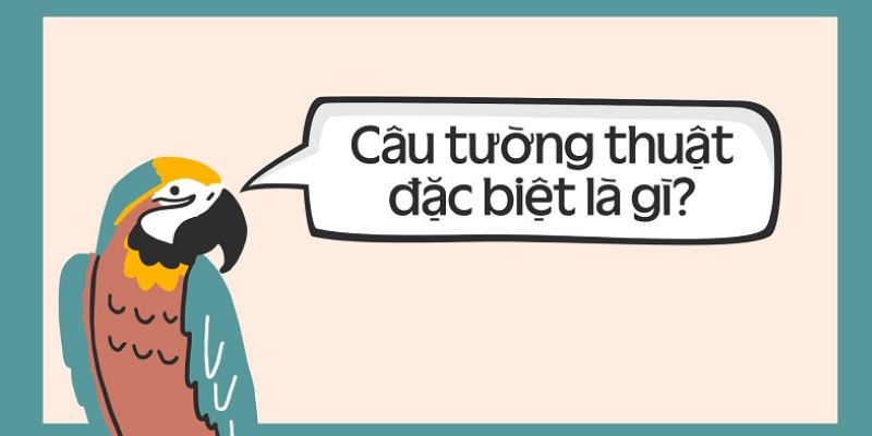 Câu tường thuật dạng đặc biệt là gì?