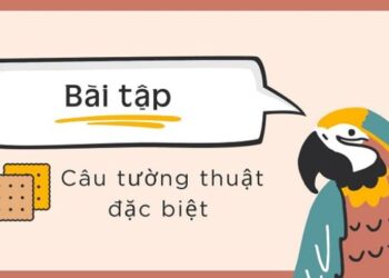 Hướng dẫn bài tập câu tường thuật dạng đặc biệt trong tiếng Anh