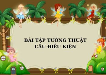 Tổng hợp bài tập tường thuật câu điều kiện hay và hiệu quả