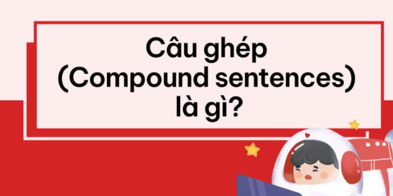 Tìm hiểu về câu ghép