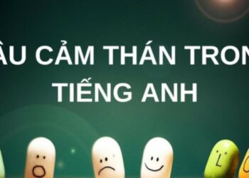 Tìm hiểu về câu cảm thán trong tiếng Anh: Cấu trúc và cách sử dụng 4 Tìm hiểu về câu cảm thán trong tiếng Anh: Cấu trúc và cách sử dụng