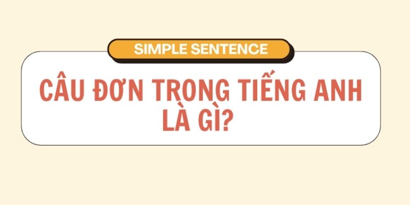 Câu đơn trong tiếng Anh là gì?