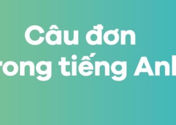 Câu đơn trong tiếng Anh: Cách hiểu và áp dụng hiệu quả trong giao tiếp