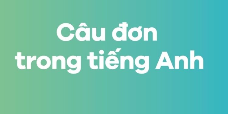 Câu đơn trong tiếng Anh: Cách hiểu và áp dụng hiệu quả trong giao tiếp