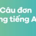 Câu đơn trong tiếng Anh: Cách hiểu và áp dụng hiệu quả trong giao tiếp