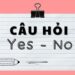 Câu hỏi Yes No trong Tiếng Anh: Cách sử dụng và các mẫu câu