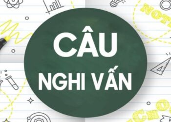 Câu nghi vấn Tiếng Anh: Các loại câu và lưu ý quan trọng khi sử dụng