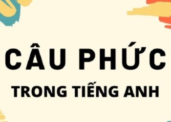 Câu phức trong tiếng Anh: Định nghĩa, cấu trúc và cách sử dụng hiệu quả 8 Câu phức trong tiếng Anh: Định nghĩa, cấu trúc và cách sử dụng hiệu quả