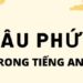 Câu phức trong tiếng Anh: Định nghĩa, cấu trúc và cách sử dụng hiệu quả