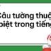 Bí quyết sử dụng câu tường thuật đặc biệt trong tiếng Anh 9 Bí quyết sử dụng câu tường thuật đặc biệt trong tiếng Anh