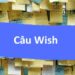 Câu Wish – Nghệ thuật biểu đạt mong muốn và hy vọng