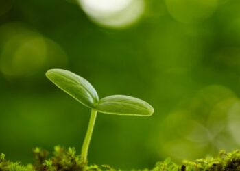 Những câu nói tiếng Anh hay về cuộc sống hành trình trưởng thành