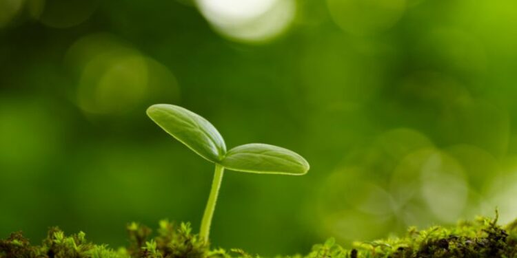 Những câu nói tiếng Anh hay về cuộc sống hành trình trưởng thành