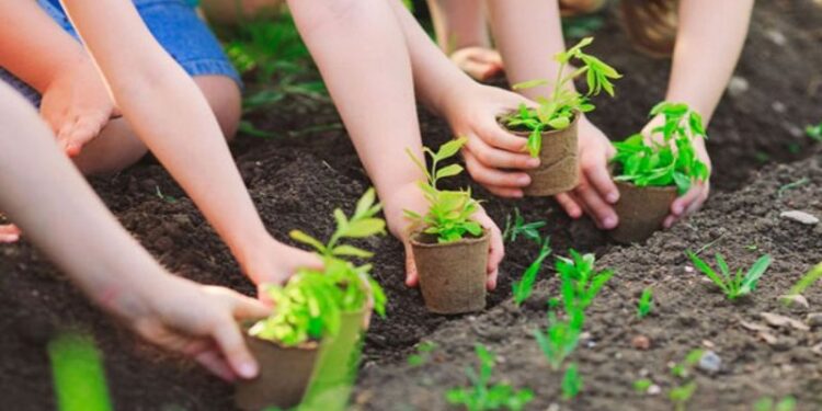 Hướng dẫn cách viết đoạn văn bảo vệ môi trường bằng tiếng Anh