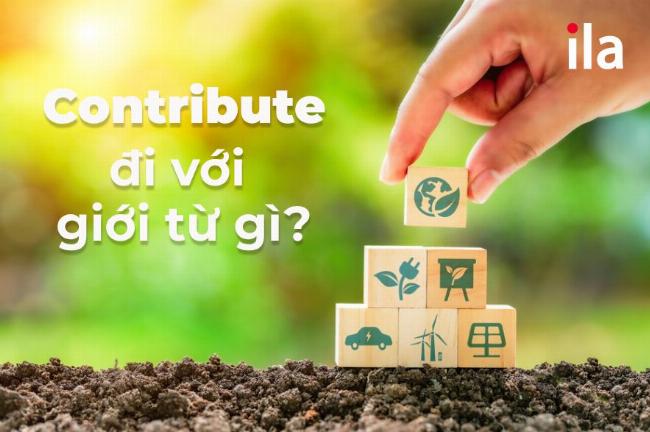 Contribute đi với giới từ cùng nghĩa