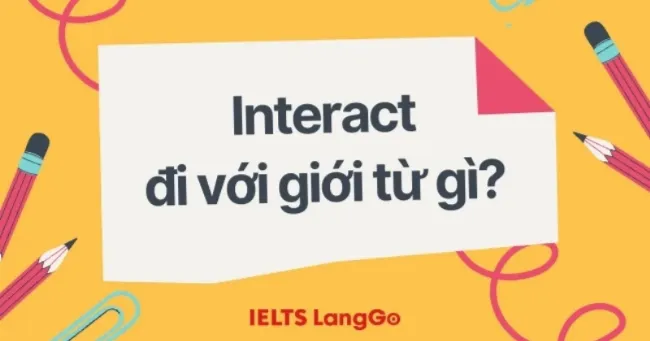 Cụm từ "interact" thường đi cùng với giới từ "with" trong giao tiếp học thuật và đời sống.