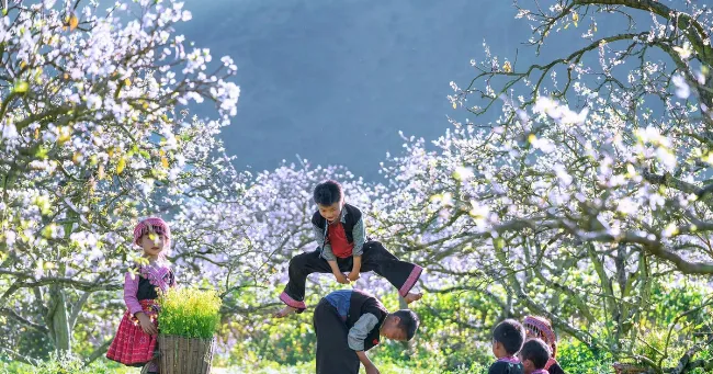 Tầm quan trọng của việc hiểu rõ "tĩnh mịch là gì" để tìm đúng từ trái nghĩa cho bài viết chuyên nghiệp