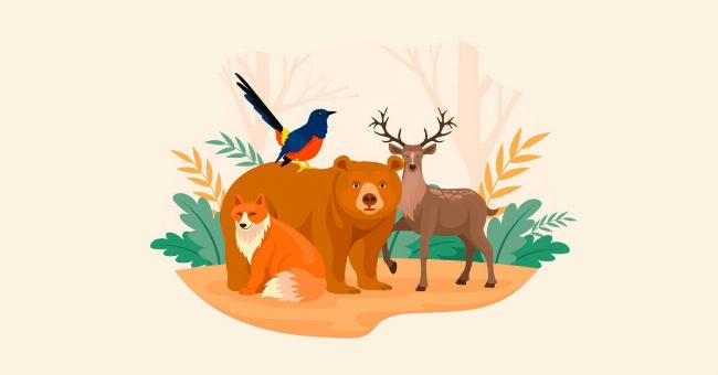 Một bức ảnh cận cảnh đầu hà mã với chiếc miệng mở rộng và hàm răng to, thể hiện sự mạnh mẽ của từ vựng tiếng Anh Hippopotamus