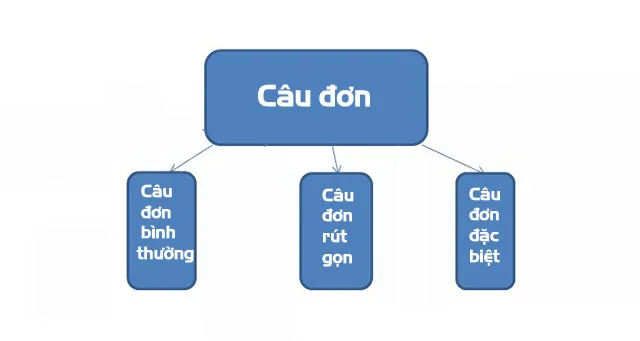 Phân loại chi tiết các dạng câu đơn: bình thường, rút gọn và đặc biệt
