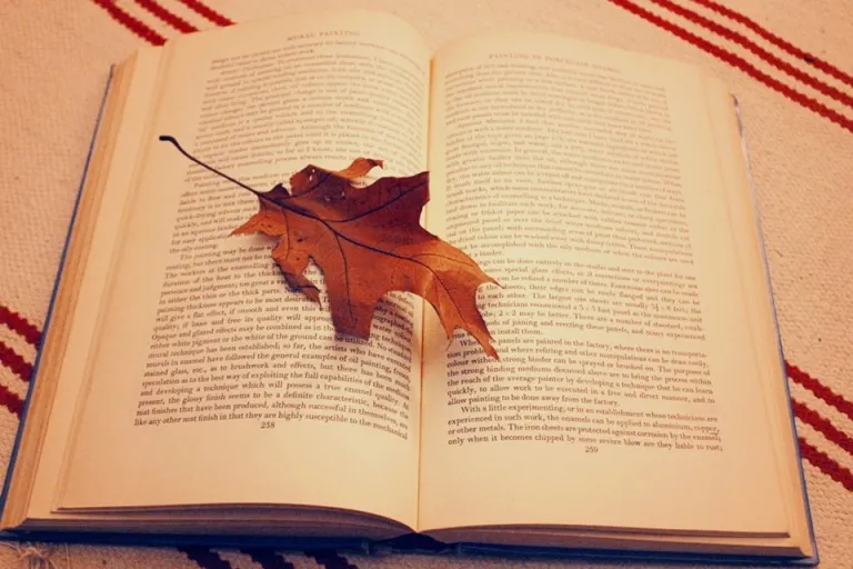 Hành động noi gương thành công của người khác