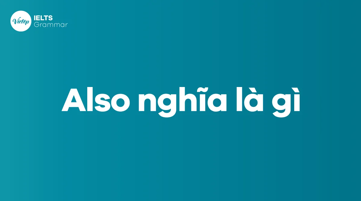 Định nghĩa Also nghĩa là gì trong tiếng Anh