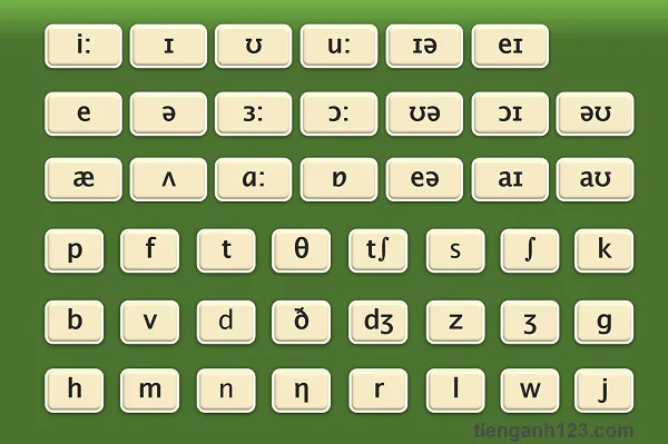 Bảng Phiên Âm Tiếng Anh IPA: Hướng Dẫn Cách Đọc Chuẩn Quốc Tế