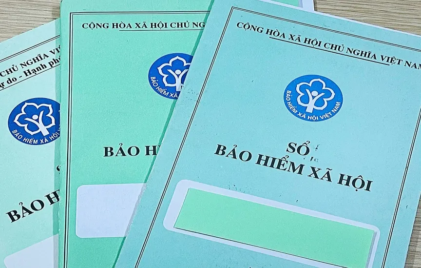 Bảo hiểm xã hội tiếng anh là gì và các loại hình bảo hiểm phổ biến hiện nay
