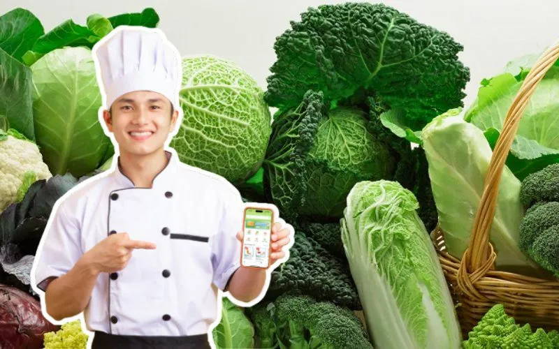 Kamereo là đối tác cung ứng các loại rau cải tươi ngon đáng tin cậy