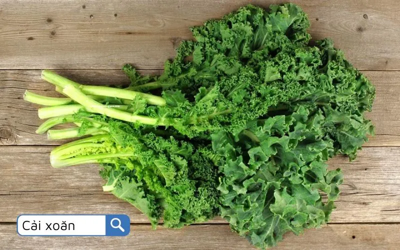 Cải xoăn (Kale) là một siêu thực phẩm tuyệt vời cho sức khỏe mạnh