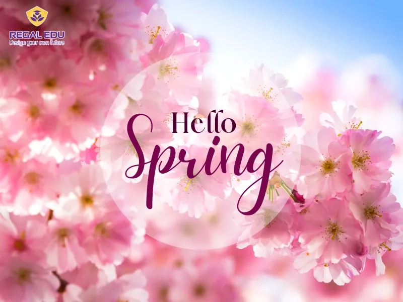 Từ vựng tiếng Anh về mùa xuân - Spring