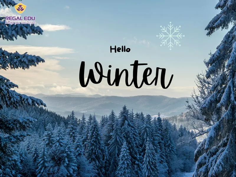 Từ vựng tiếng Anh về mùa đông - Winter
