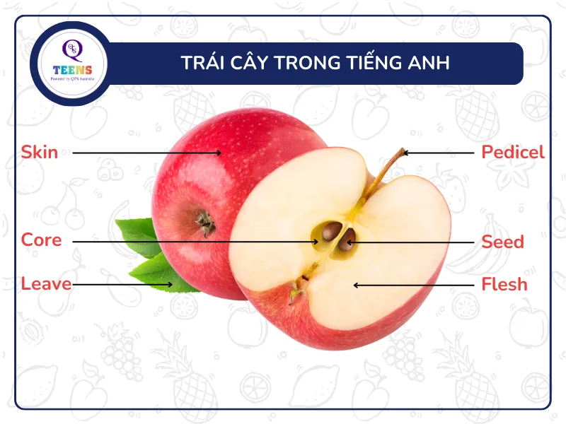 Trái Cây Tiếng Anh: Tổng Hợp Từ Vựng Và Cách Phát Âm Chuẩn Nhất Theo Chủ Đề