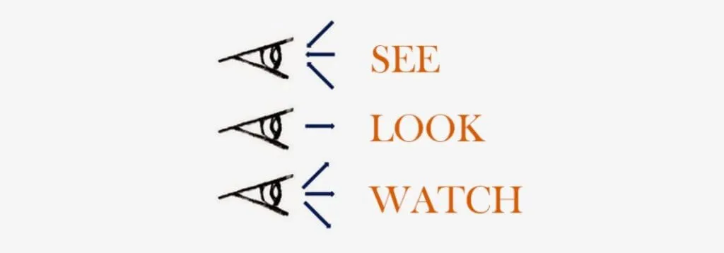 Động từ nguyên thể theo sau các động từ tri giác