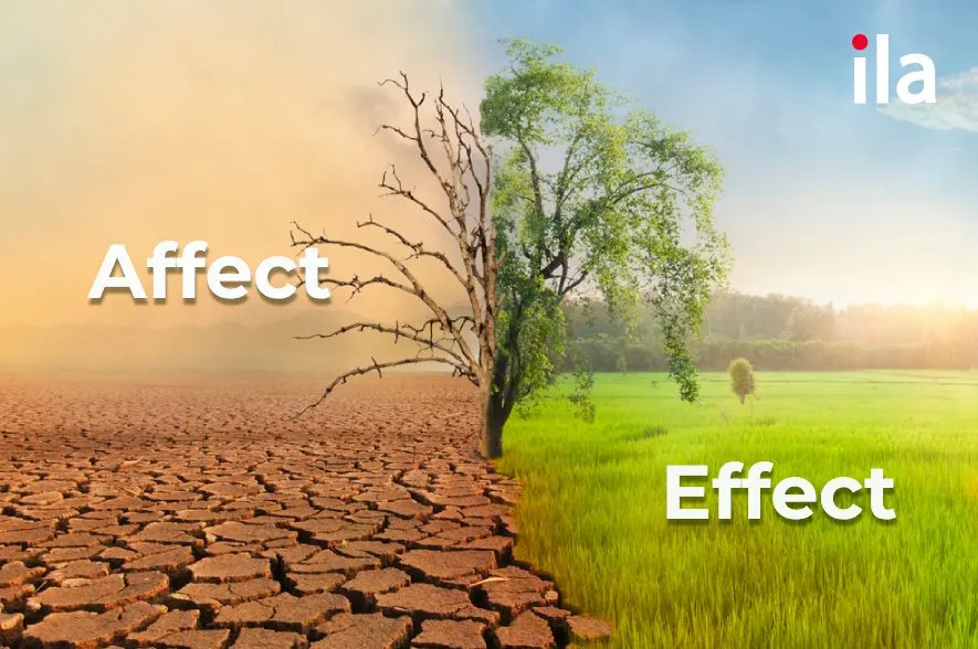 Phân biệt Affect và Effect: Cách dùng chuẩn xác, Mẹo nhớ và Bài tập vận dụng