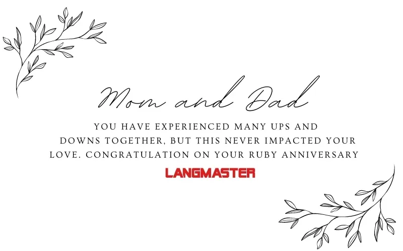 Hình ảnh kỷ niệm 40 năm ngày cưới - Đám cưới Hồng Ngọc