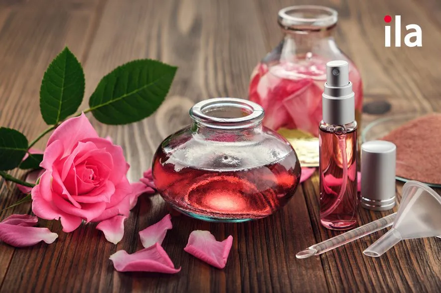 Tá»« vá»±ng vá» bá»™ pháº­n cÃ¡c loÃ i hoa tiáº¿ng Anh lÃ  gÃ¬?