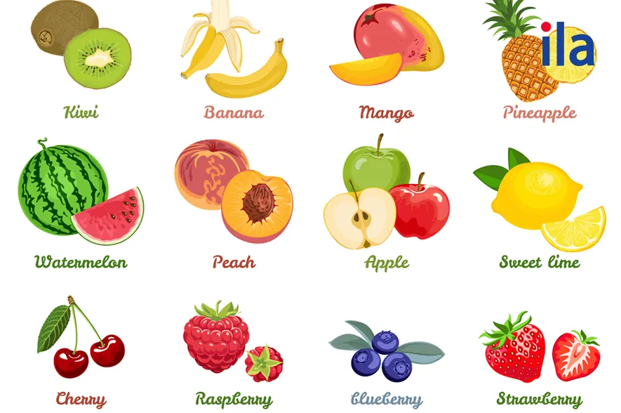 Từ vựng tiếng Anh về trái cây đa dạng và phong phú