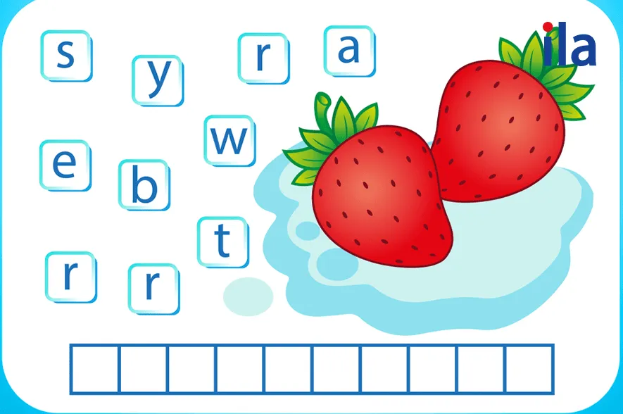 Sắp xếp từ vựng hình 4