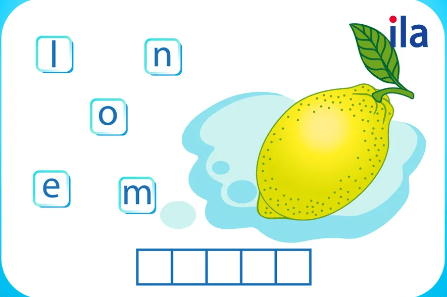 Sắp xếp từ vựng hình 5