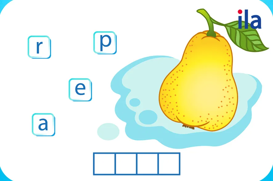 Sắp xếp từ vựng hình 2