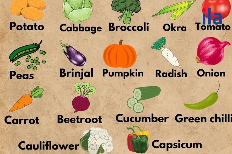 Từ vựng tiếng Anh về các loại rau xanh phổ biến