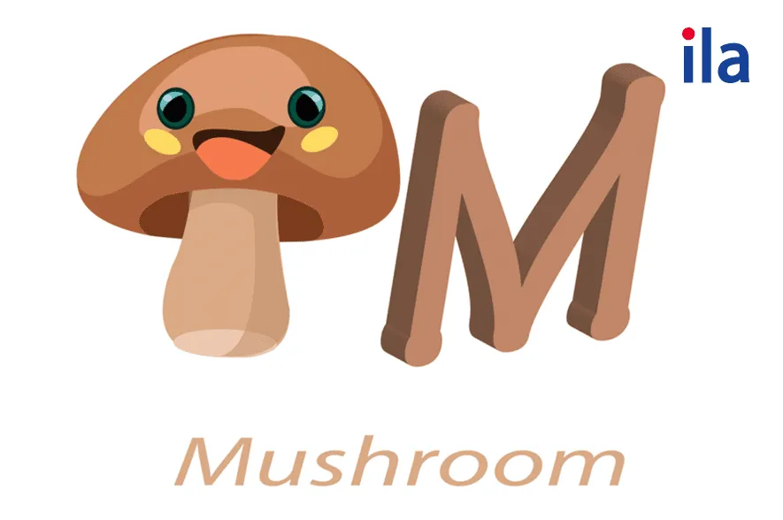 Các loại nấm phổ biến trong tiếng Anh