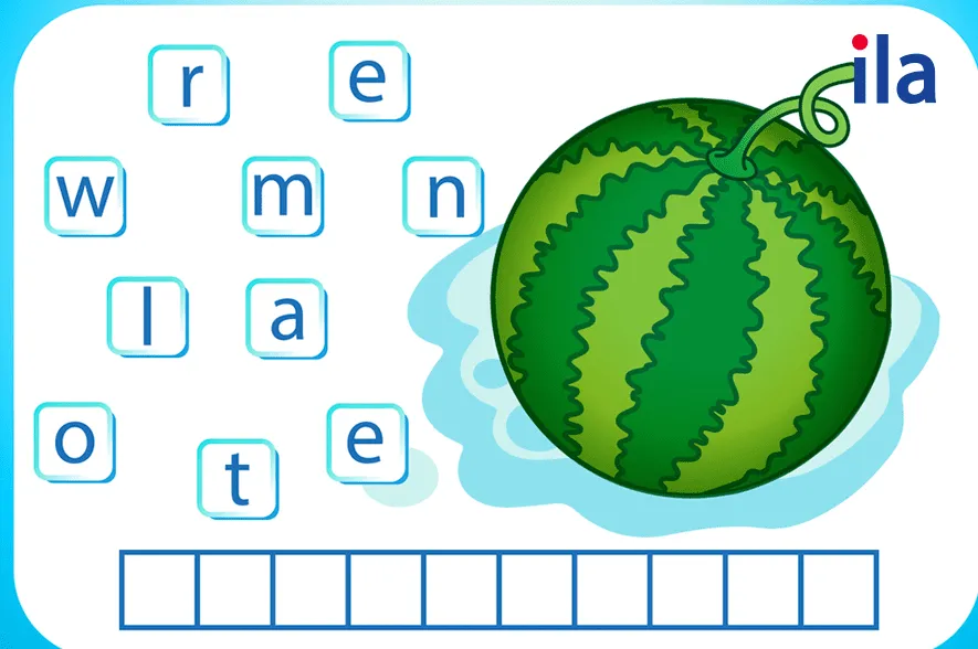 Sắp xếp từ vựng hình 1