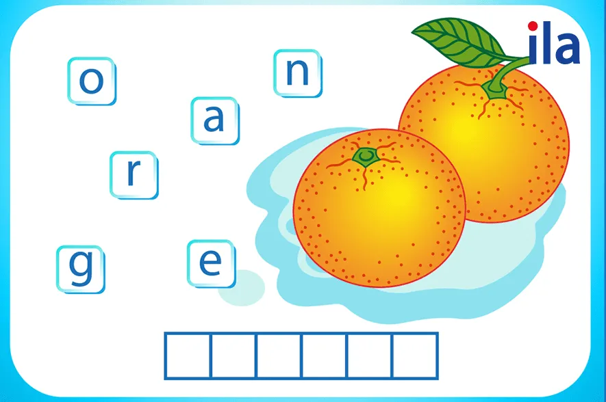 Sắp xếp từ vựng hình 3