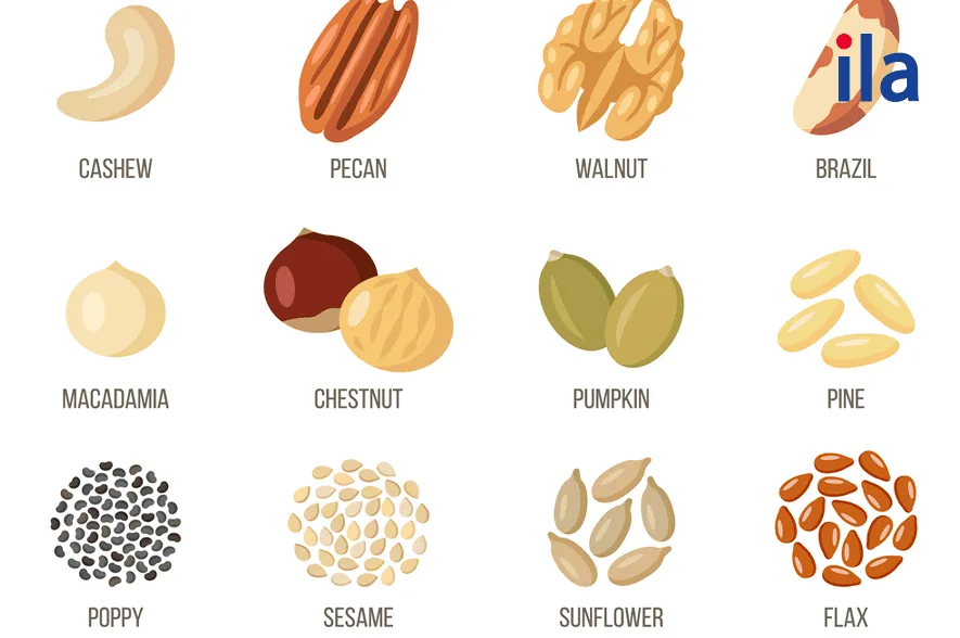 Các loại đậu và hạt dinh dưỡng bằng tiếng Anh