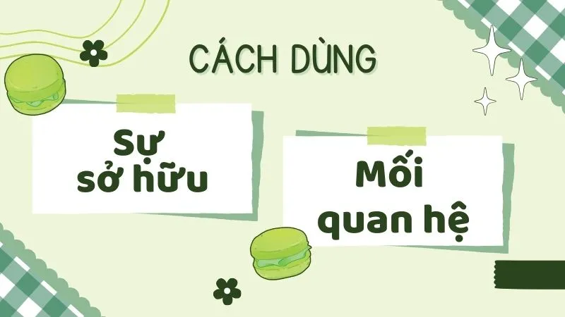 Sơ đồ cách dùng sở hữu cách để chỉ mối quan hệ và sự sở hữu