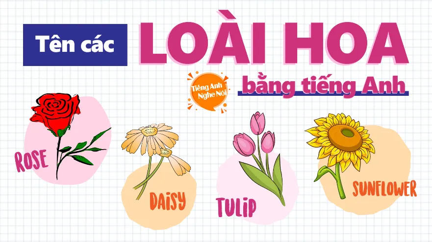 Tên các loài hoa bằng tiếng Anh phổ biến và phiên âm chuẩn